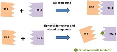 Small Molecule Agents Targeting PD-1 Checkpoint Pathway for Cancer Immunotherapy: Mechanisms of Action and Other Considerations for Their Advanced Development